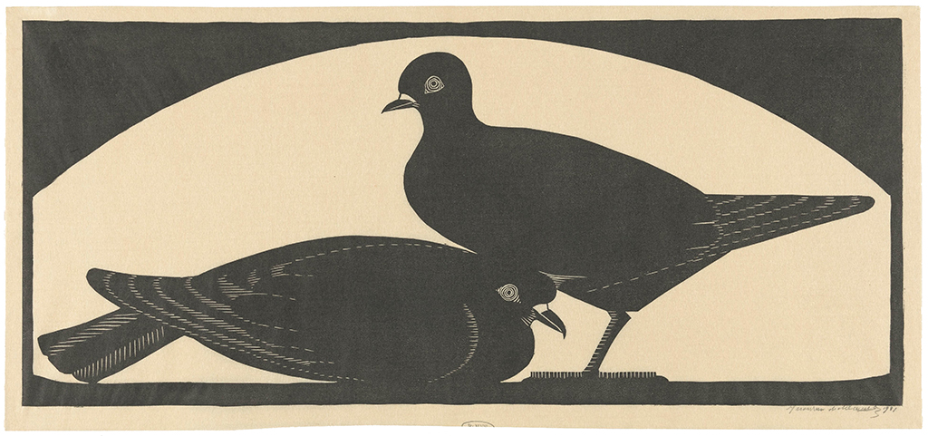 De rechter duif staat op een poot; de linker duif zit ineengedoken.