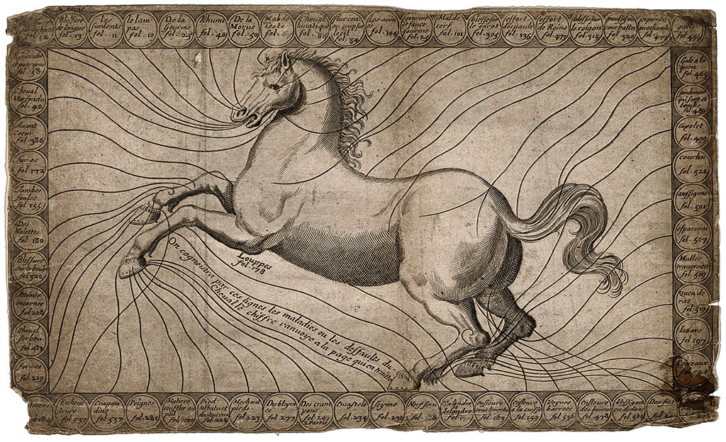 Gravure van een naar links springend paard met allemaal lijntjes naar de kantlijn. Aan het eind van elk lijntje staat een cirkel met daarin een tekst.