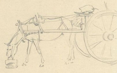 Een paard, ingespannen voor een koets, drinkt uit een emmer op de grond. Van de koets zien we net de voorste willen.