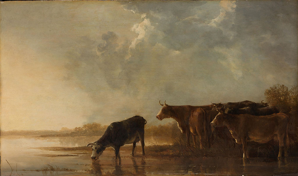 Vlak rivierlandschap, aan de oever van het water staan enige koeien, het meest linkse dier drinkt.