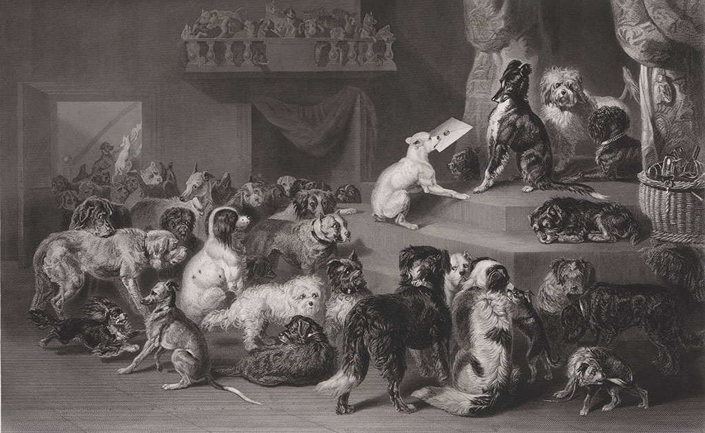 Een kamer vol honden, in het midden een verhoging waar een witte hond een brief in zijn bek aanbiedt aan een andere hond.