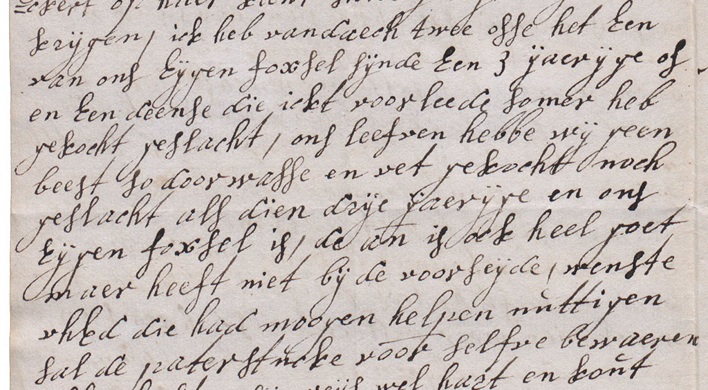 Brieffragment over de slacht van de ossen