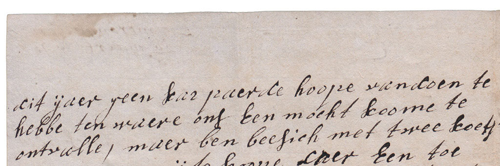 Tweede brieffragment probleempaarden