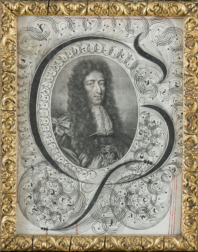 In een medaillon een busteportret van Willem III: een lang smal gezicht met een forse neus en een flinke bos krullen. Om zijn nek draagt hij een kanten jabot, op zijn rechter schouder zit een strik, onder zijn jabot zien we nog net de keten van de Orde van de Kousenband.