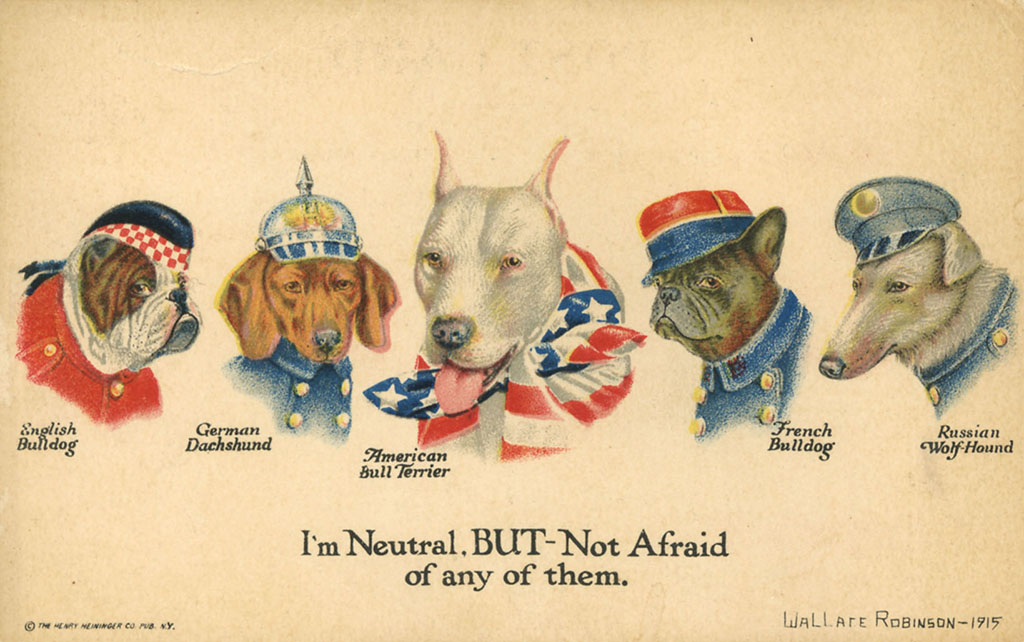 Vijf hondenkoppen: een Engelse bulldog met een zwart hoedje met roodgeblokte rand en een rode jas, een Duitse teckel met een blauwe jas en pickelhaube, een Amerikaans bull terrier met een Amerikaanse vlag omgeknoopt, een Franse bulldog met een petje met een blauwe onderkant en een rode onderkant en een Russische wolfshond met een blauwe pet en blauwe jas. Onder de honden staat I'm Neutral, BUT - Not Afraid of any of them.