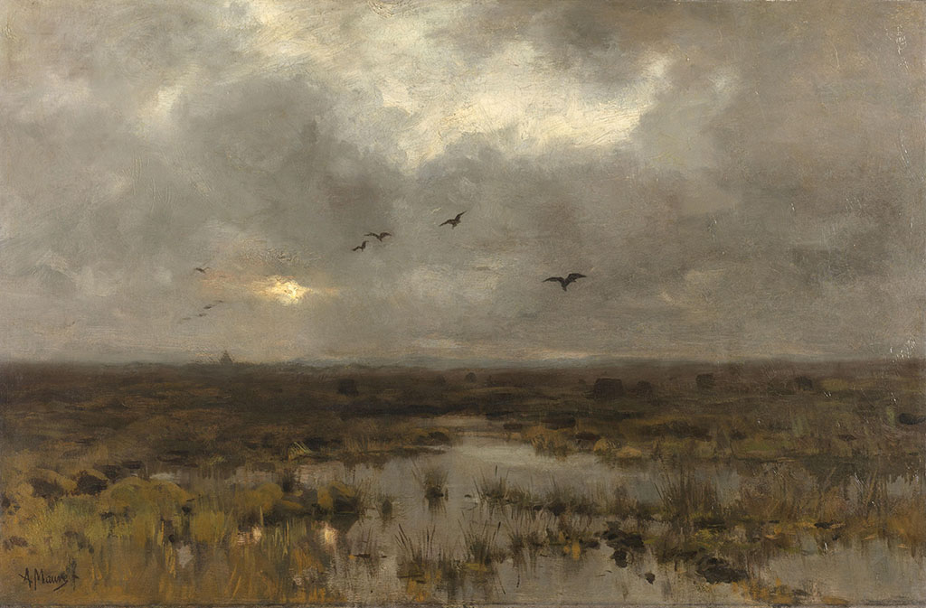 Vlak landschap met een moeras en enkele vogels.