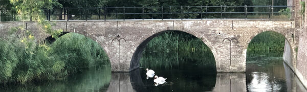 Gracht met brug met daaronder twee zwanen