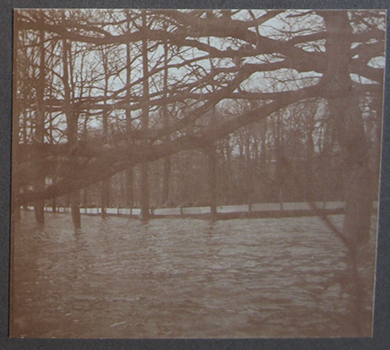 Vanuit de tuin een foto richting de dijk. Je ziet alleen dat er een dijk is door de bomen die aan weerszijden staan.