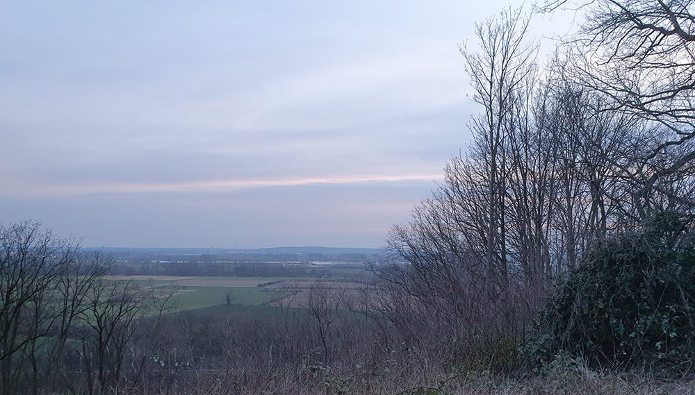 Vanaf een hoog punt hebben we van tussen de bosjes een weids uitzicht over een vlag landschap met weilanden. In de verte ligt weer een wat heuvelachtig landschap.