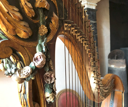 De bovenkant van de harp waar de snaren vast zitten. Er zijn duidelijk twee contactplekken te zien: waar de snaar vast zit, en waar de snaar verkort kan worden. 