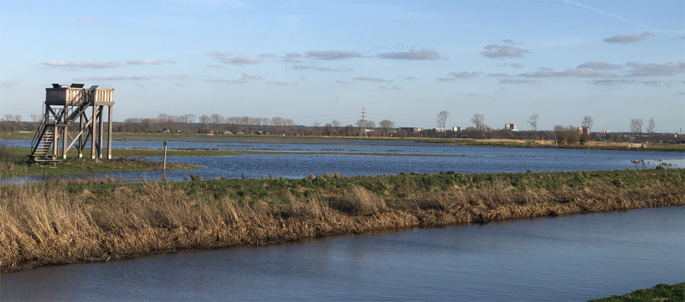 Een watervlakte die doorkruist wordt door een dijkje. Links staat een uitkijkpunt (vogelkijktoren). In de verte ligt Wageningen.