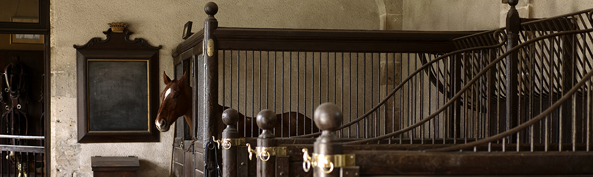 Op de achtergrond een paard in een box, daarvoor stands.