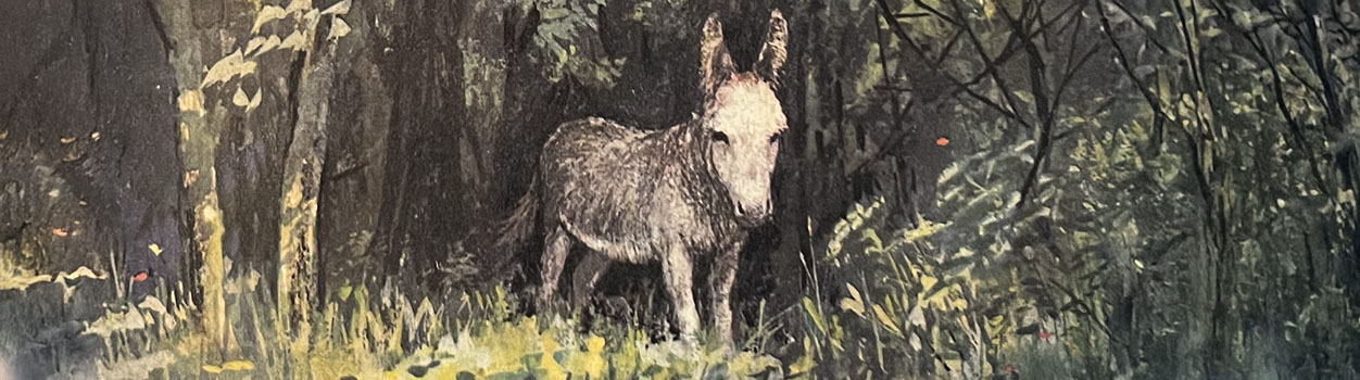 Een ezeltje in het groen