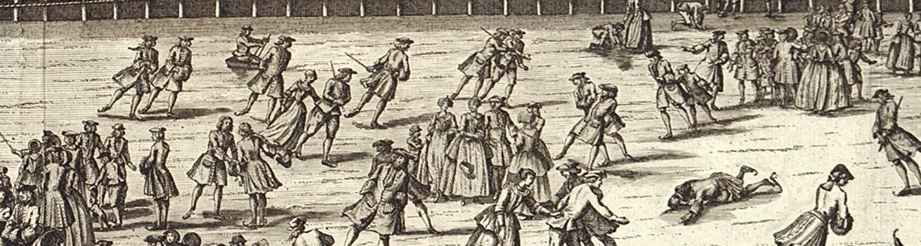 allemaal mensen op de schaats op het ijs