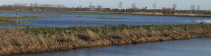 Een water vlakte met stukjes land