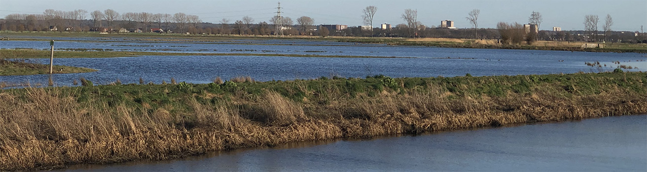 Een water vlakte met stukjes land