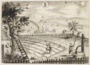 In een heuvelachtig landschap zijn vrouwen in de moestuin aan het werk. Één vrouw geeft de bedden water, een ander pompt het water op. In een boom zit een man met een emmer onder een bijenzwerm.