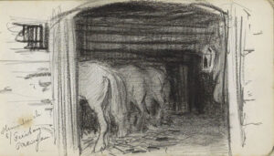 Door een open staldeur zien we de achterkanten van een rijtje paarden die naast elkaar staan zonder zichtbare afscheiding in een stal.