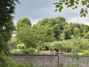 Boven een tuinmuur zie je de planten die niet boven de muur uit zouden moeten komen als de grond even hoog was als voor de muur. Er staan veel gekleurde bloemen, links staan bomen en op de achtergrond staan bomen.